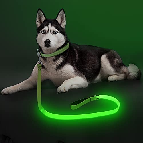 Colaseeme LED Nylon Dog Leash